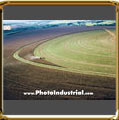 Aerial photo corn harvest Araguari, Minas Gerais